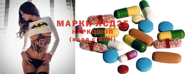бошки Аркадак