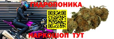 тгк Канаш
