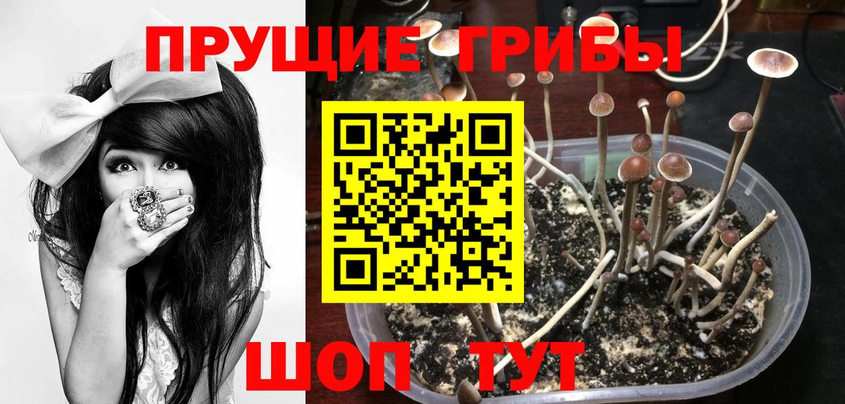 Псилоцибиновые грибы ЛСД Кубинка