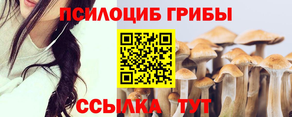 закладка  Вход с VPN  Кубинка  Галлюциногенные грибы мицелий 